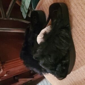 Sz 36 NIB $450 ATP furry sandals